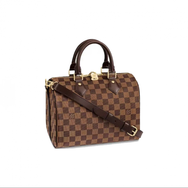 Louis Vuitton Speedy Gold hardware fittings plaid pattern One shoulder crossbody handbagN40575